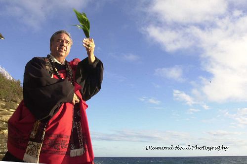 various hawaii wedding images